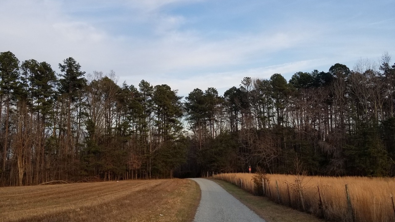 Photo of Others in Roxboro