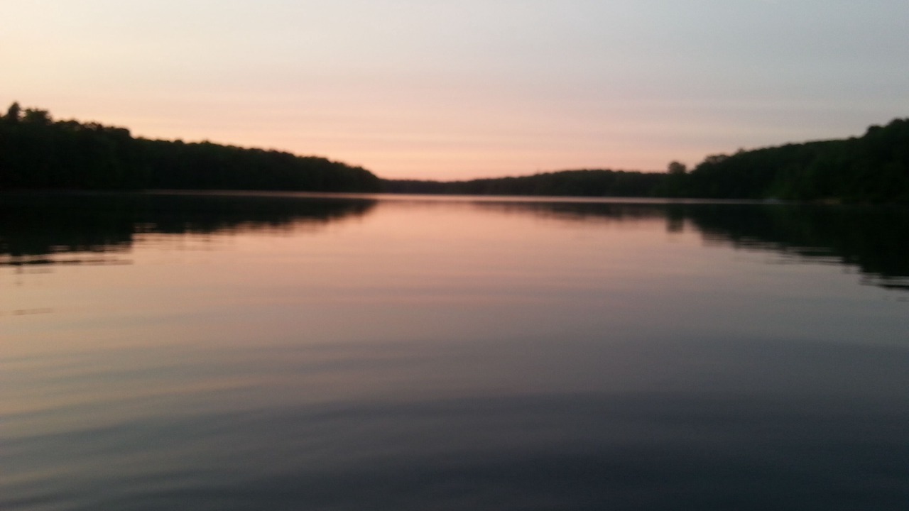 Photo of Others in Roxboro