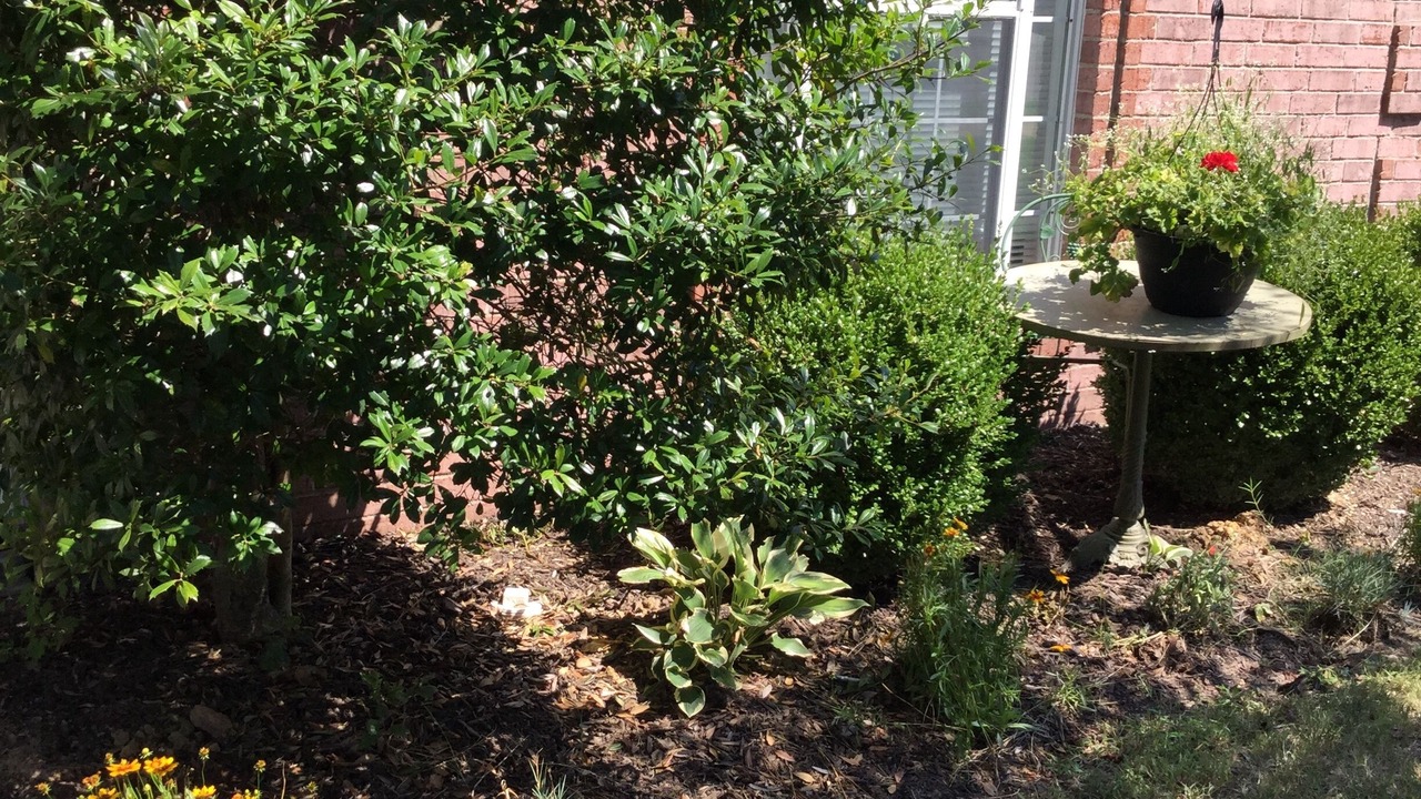 Photo of Outdoor in Cordova