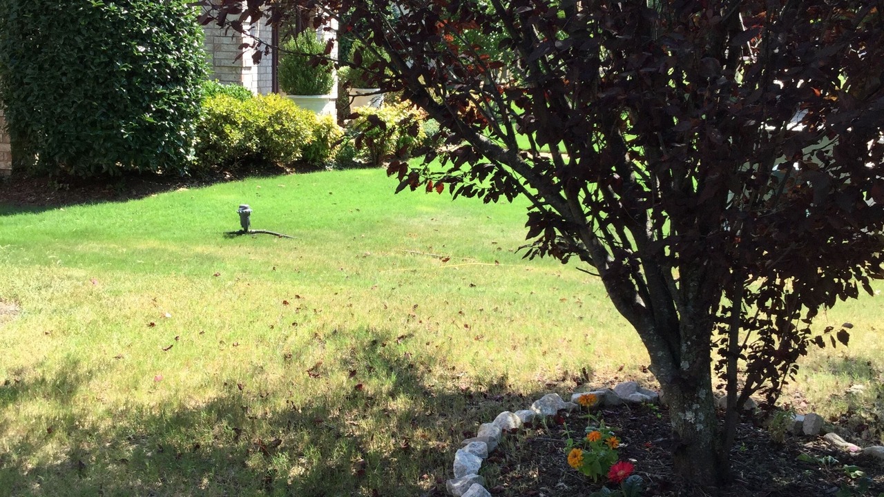 Photo of Outdoor in Cordova