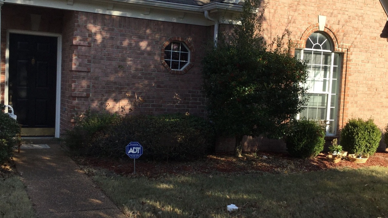 Photo of Outdoor in Cordova