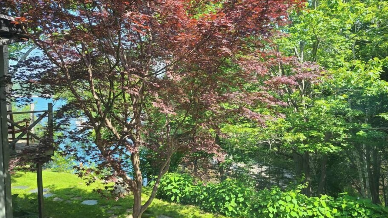 Photo of Outdoor in Halifax