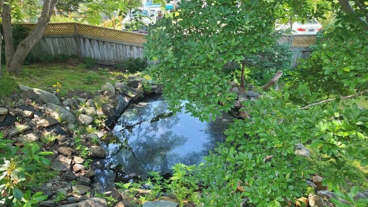 Photo of Outdoor in Halifax