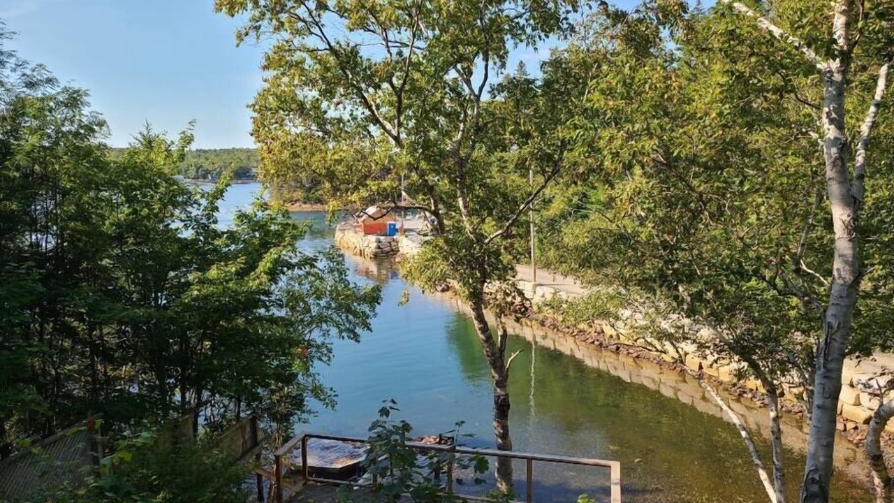 Photo of Others in Halifax