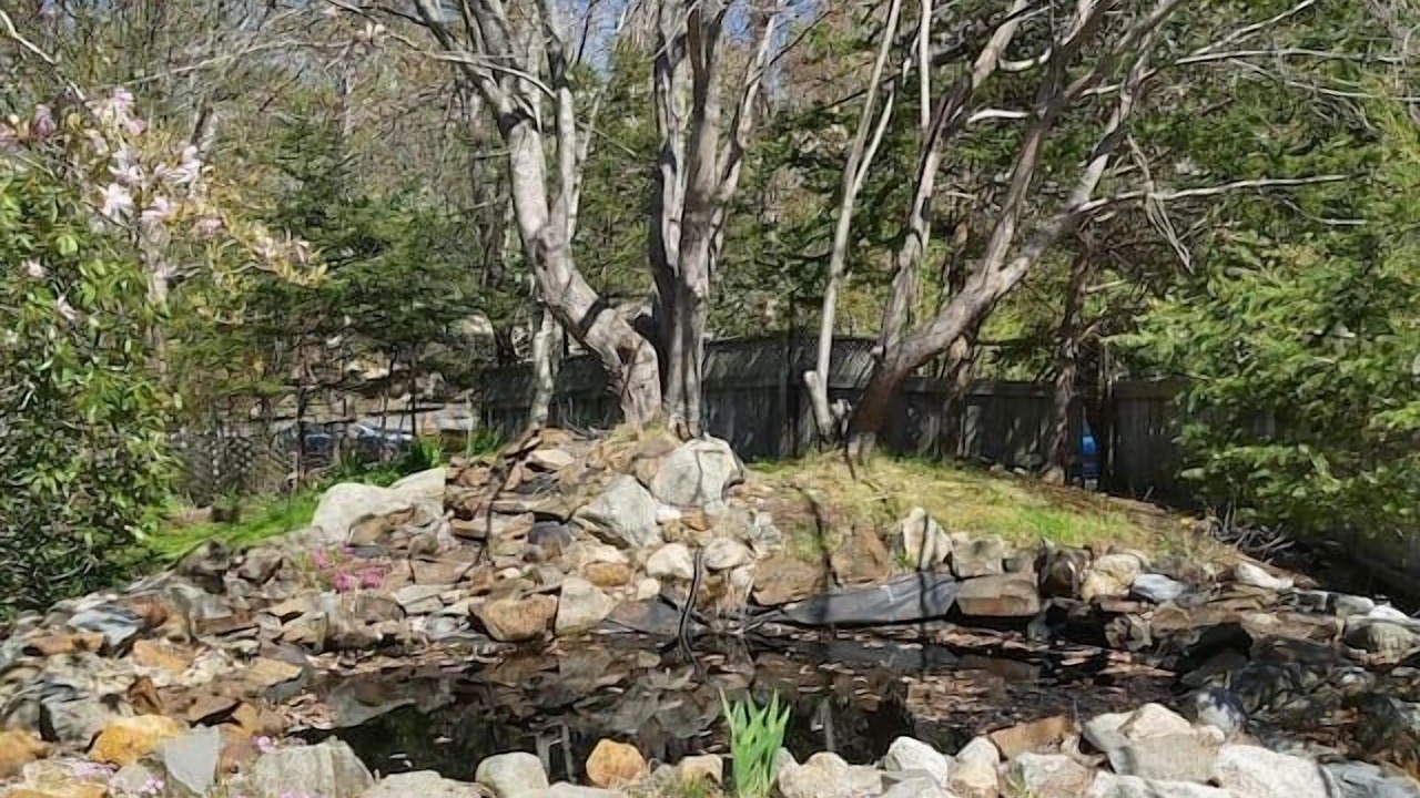 Photo of Others in Halifax