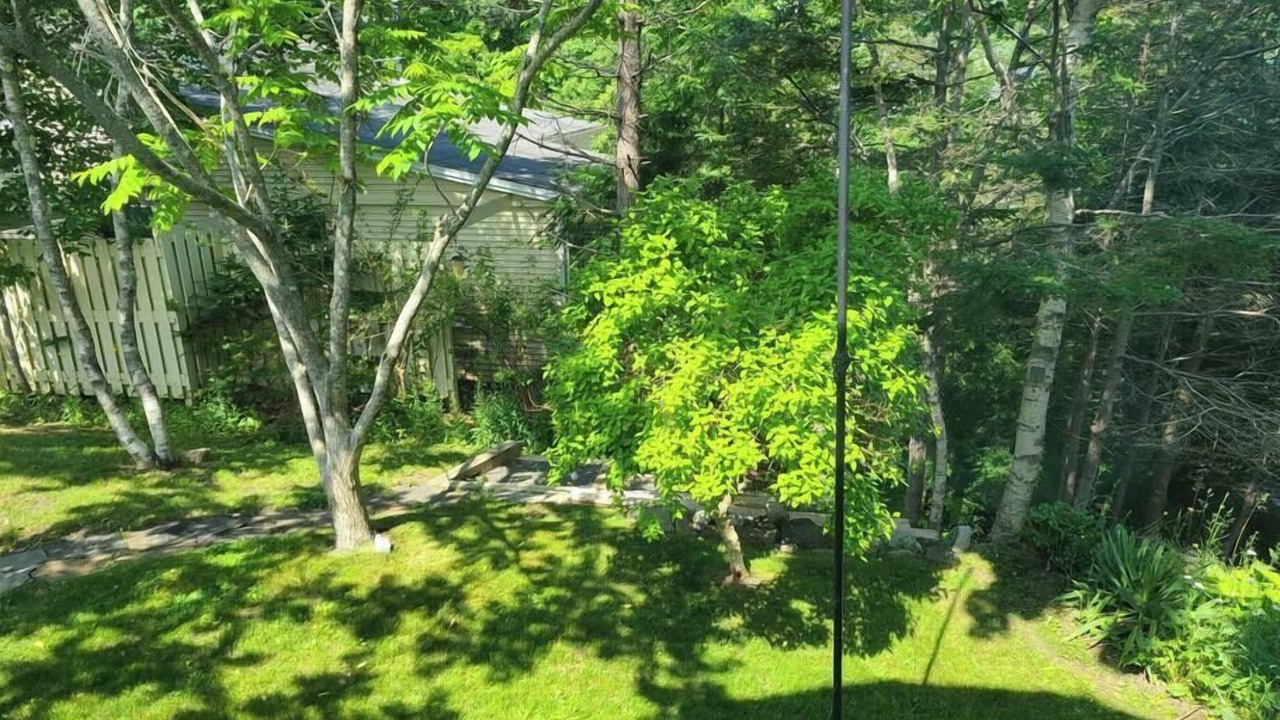 Photo of Outdoor in Halifax