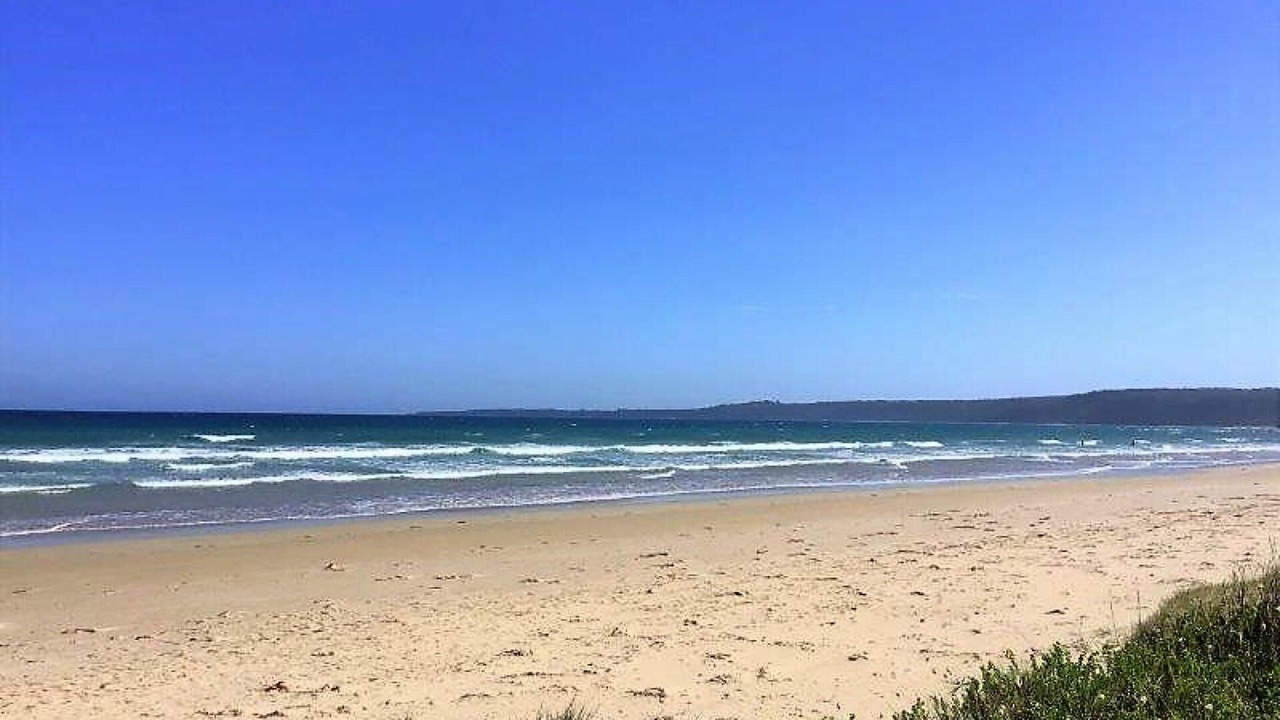 Photo of Others in Waratah