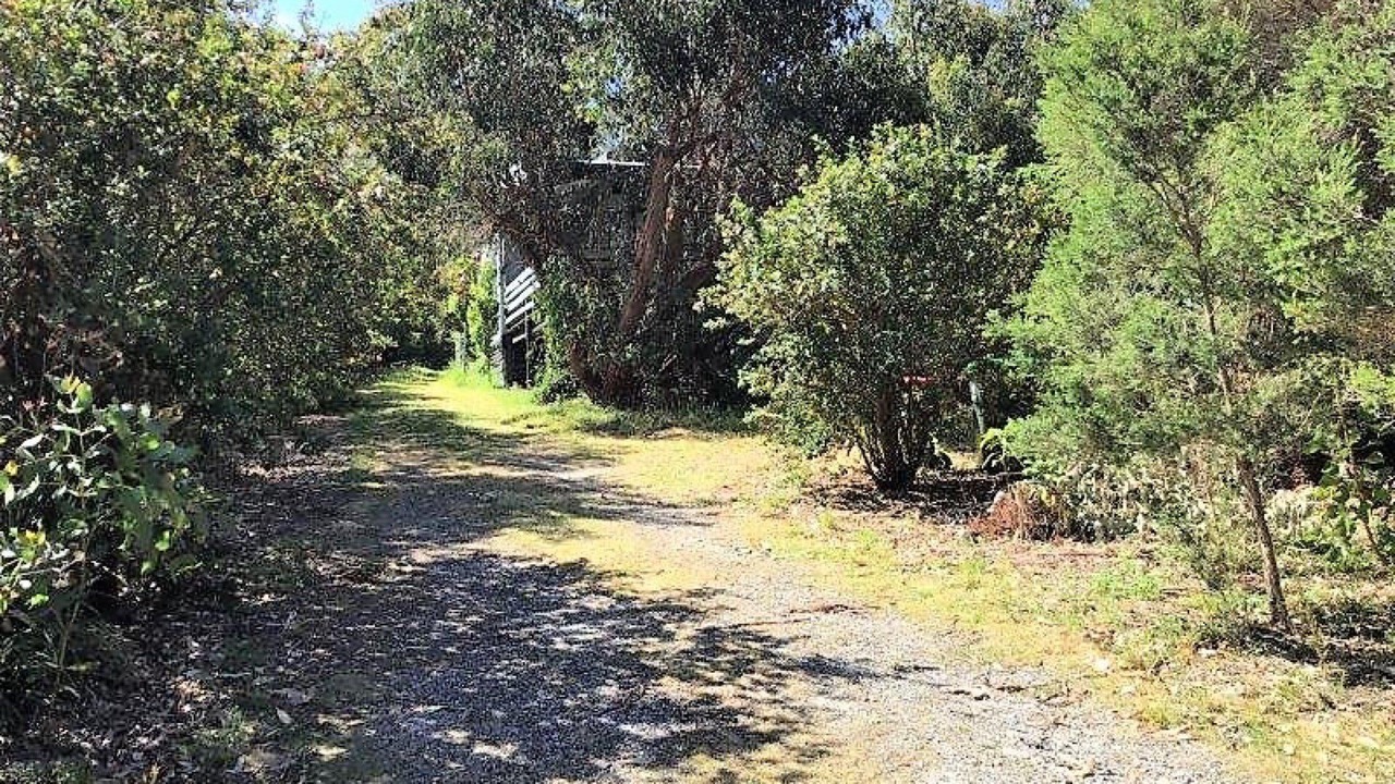 Photo of Outdoor in Waratah