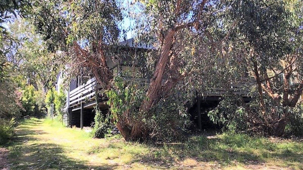 Photo of Outdoor in Waratah