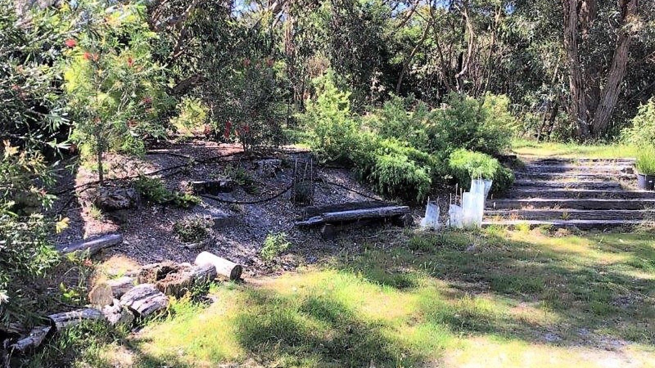 Photo of Outdoor in Waratah