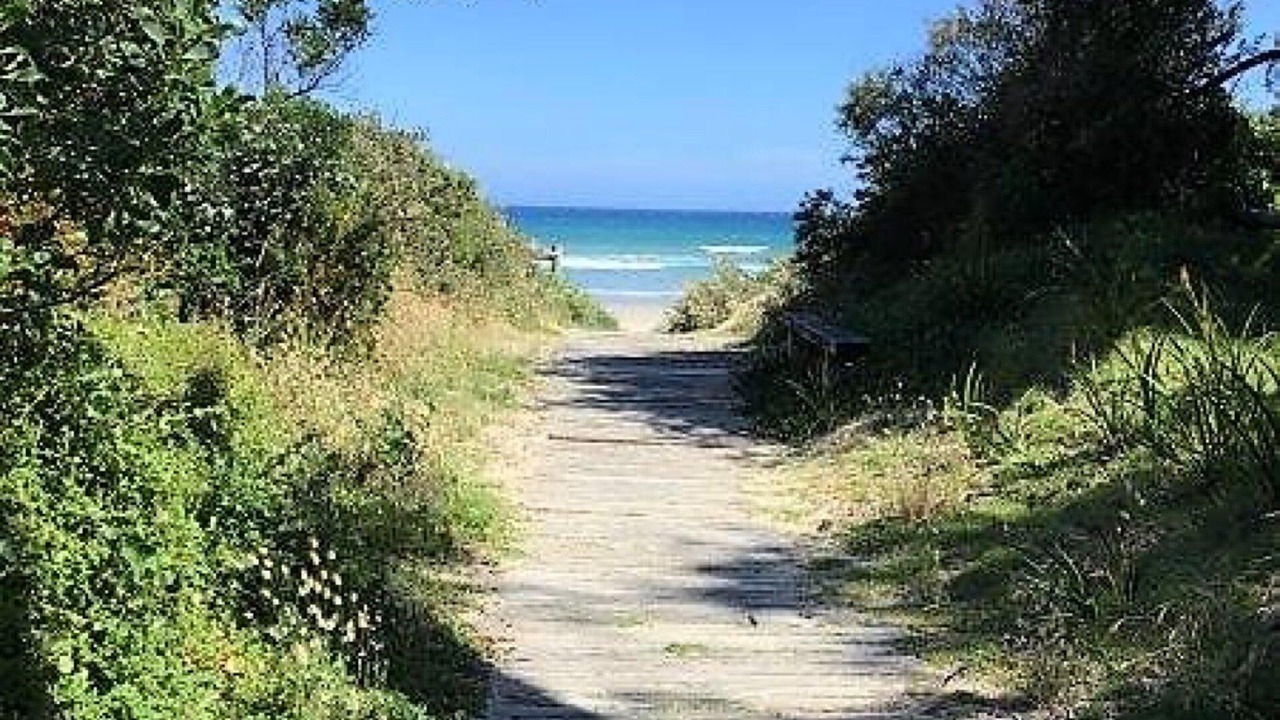 Photo of Others in Waratah