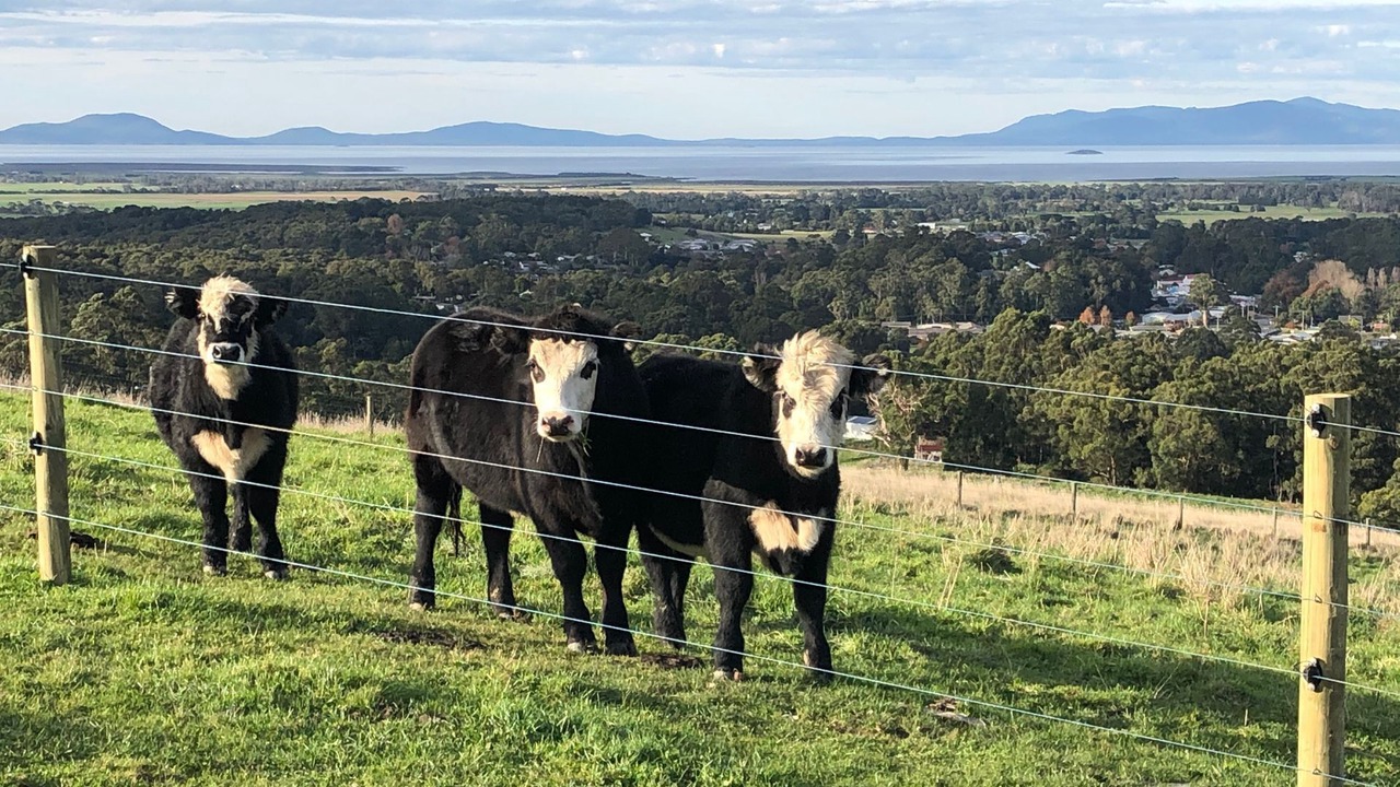 Photo of Outdoor in Foster