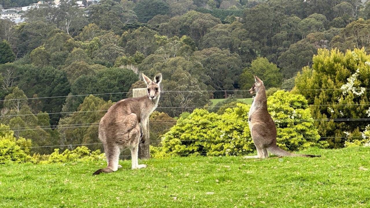 Photo of Outdoor in Foster
