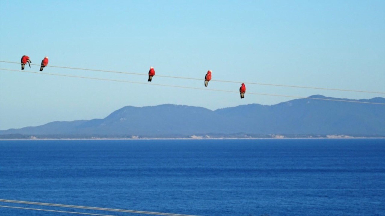 Photo of Others in Walkerville South