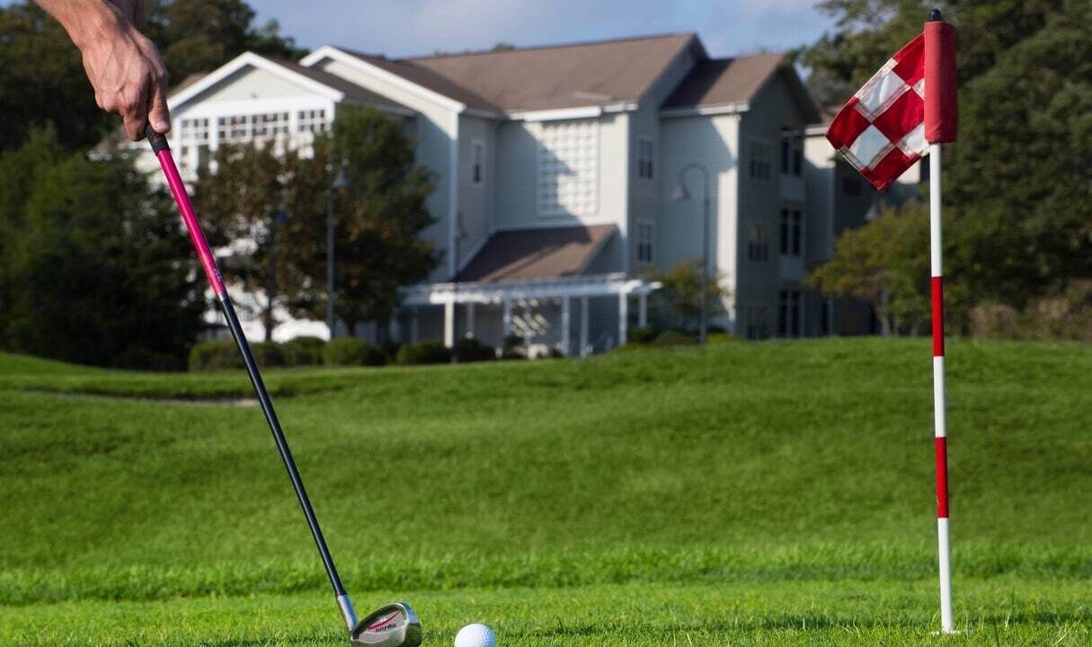 Photo of Others in Galloway