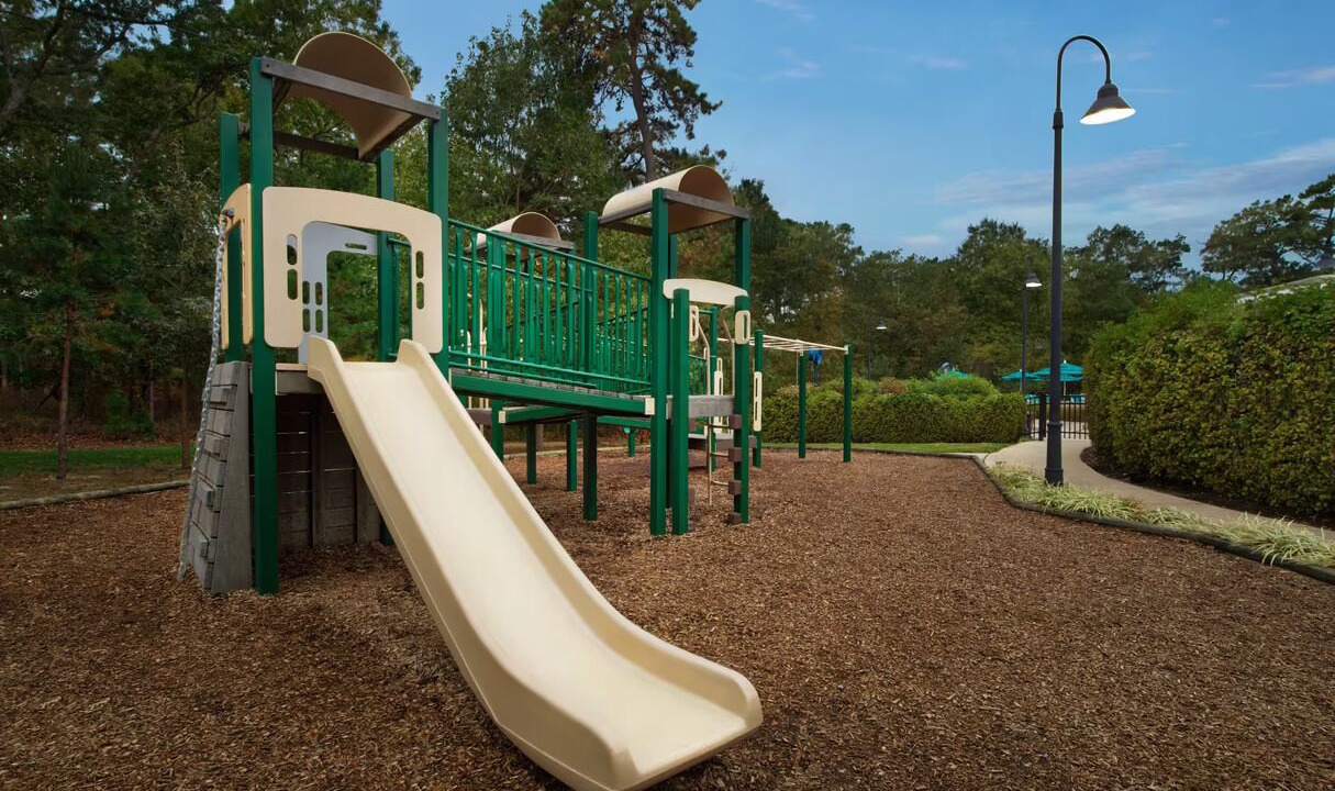 Photo of Others in Galloway