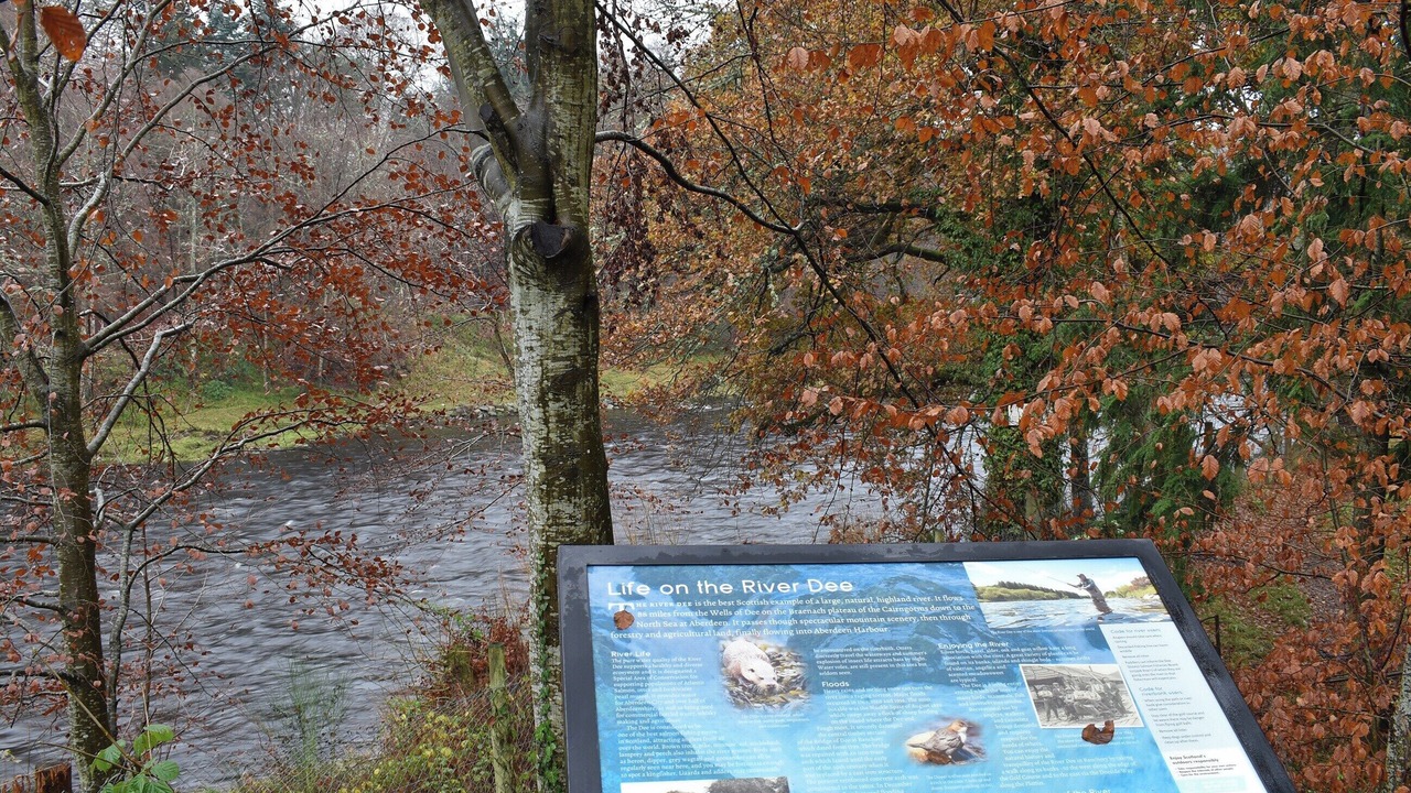 Photo of Others in Banchory