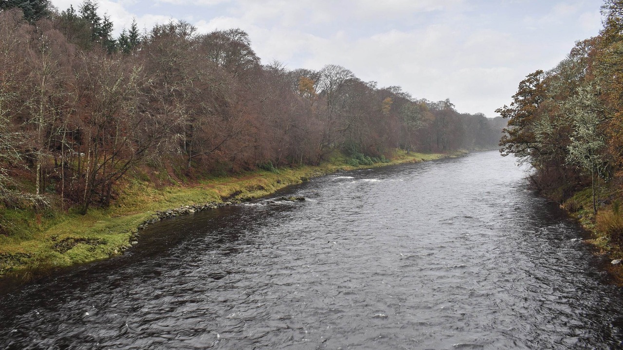 Photo of Others in Banchory