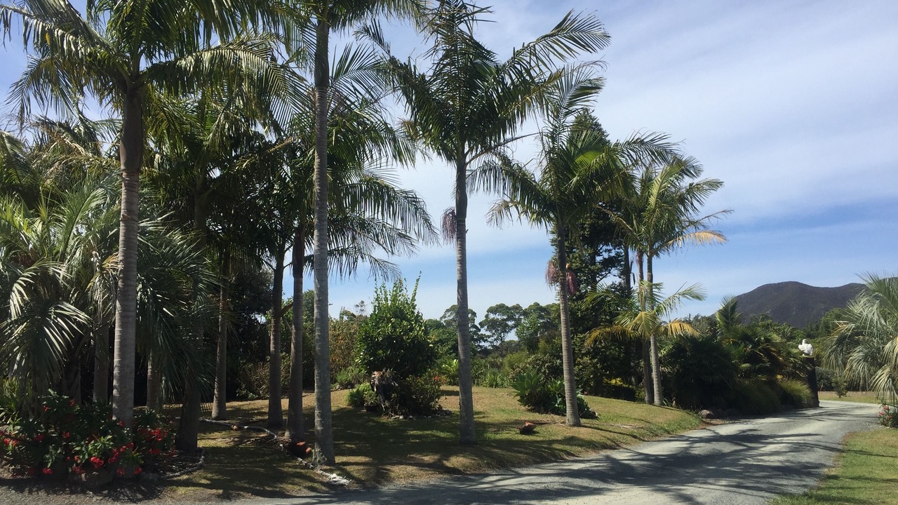 Photo of Outdoor in Pukenui