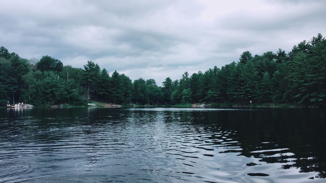 Photo of Outdoor in Broadbent