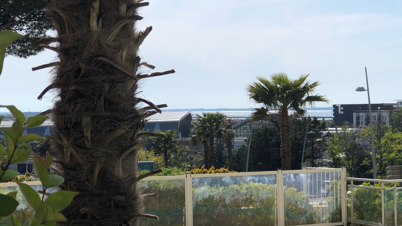 Photo of Outdoor in Sete