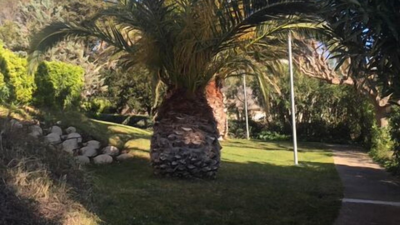 Photo of Outdoor in Sete