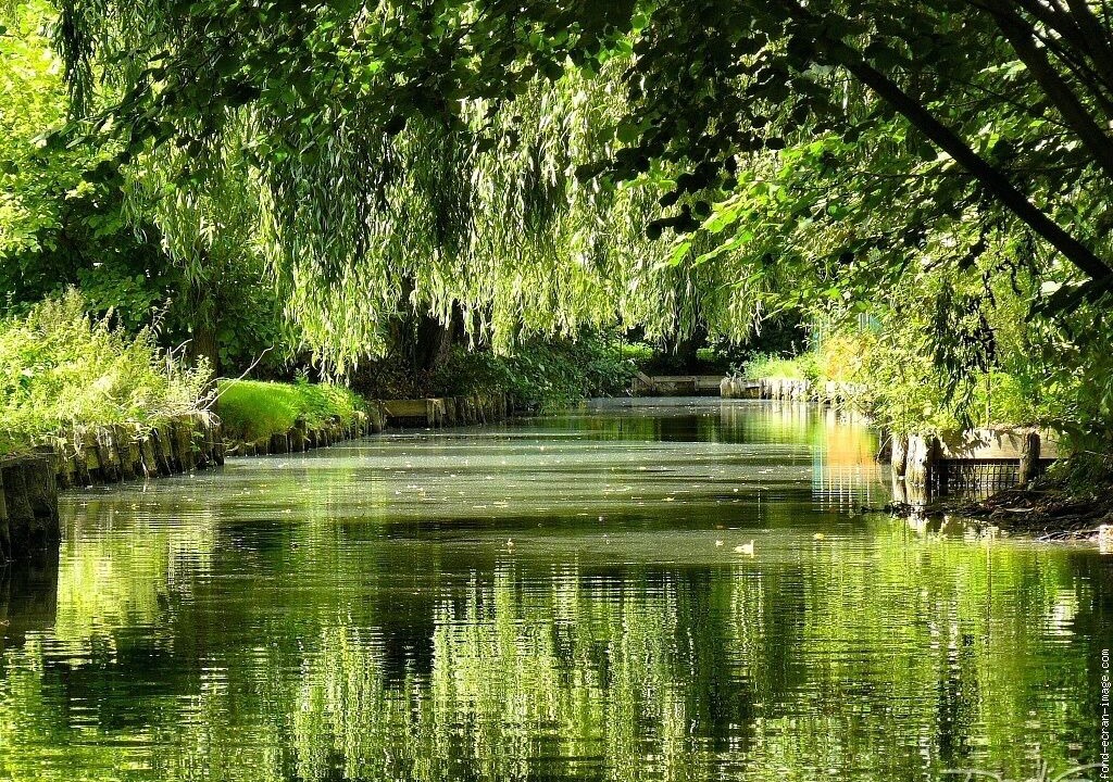 Photo of Others in Ailly-sur-Noye