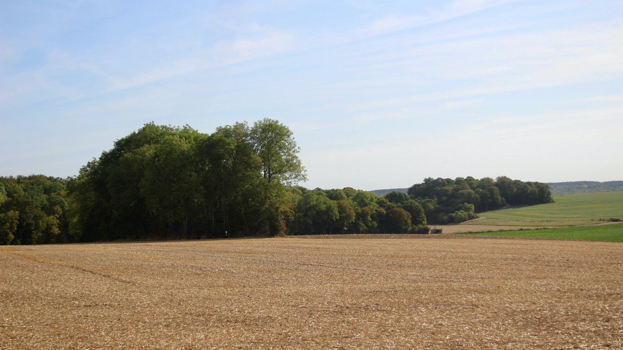 Photo of Others in Ailly-sur-Noye