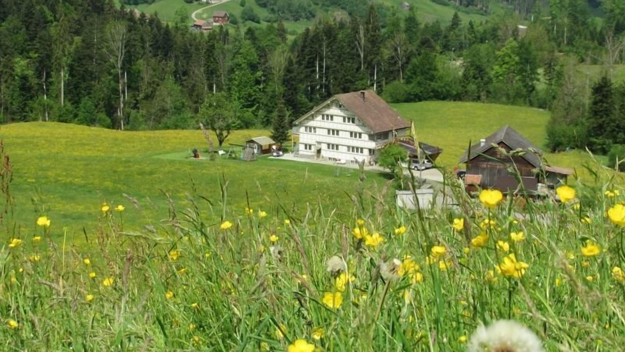 Photo of Others in Sankt Peterzell