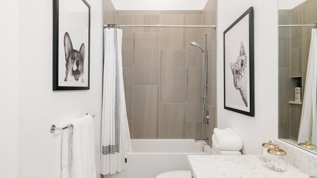 Photo of Bathroom in River North Art District