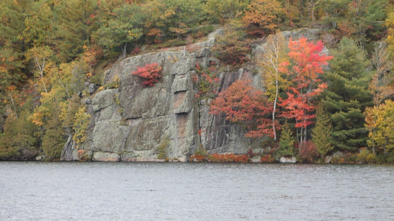 Photo of Others in Broadbent