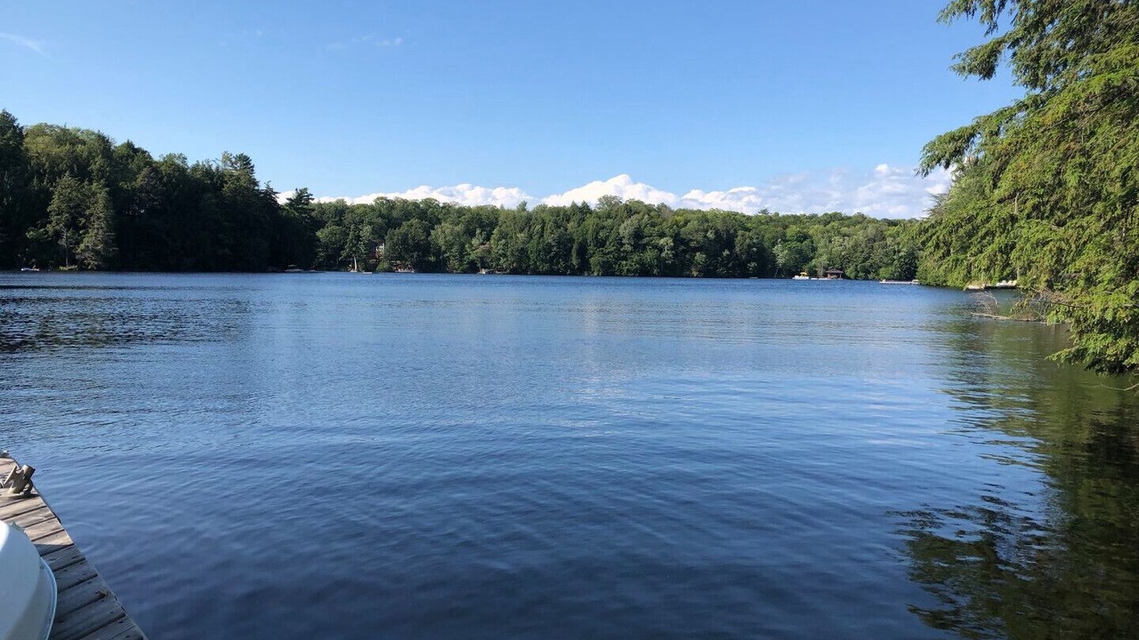 Photo of Outdoor in Broadbent