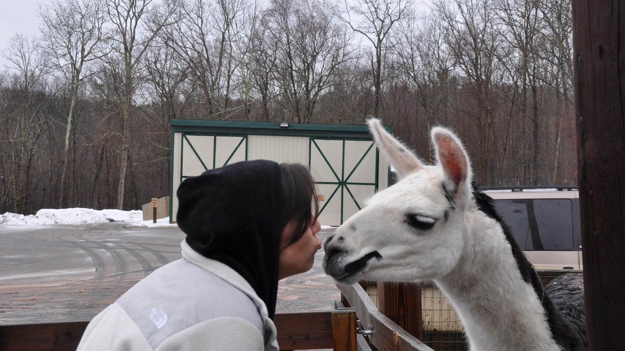Photo of Others in Lackawaxen