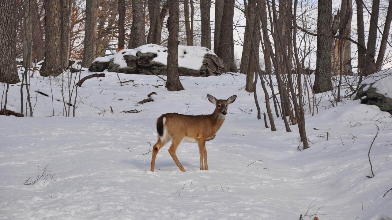 Photo of Others in Lackawaxen