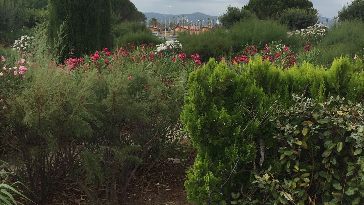 Photo of Outdoor in Port Cogolin