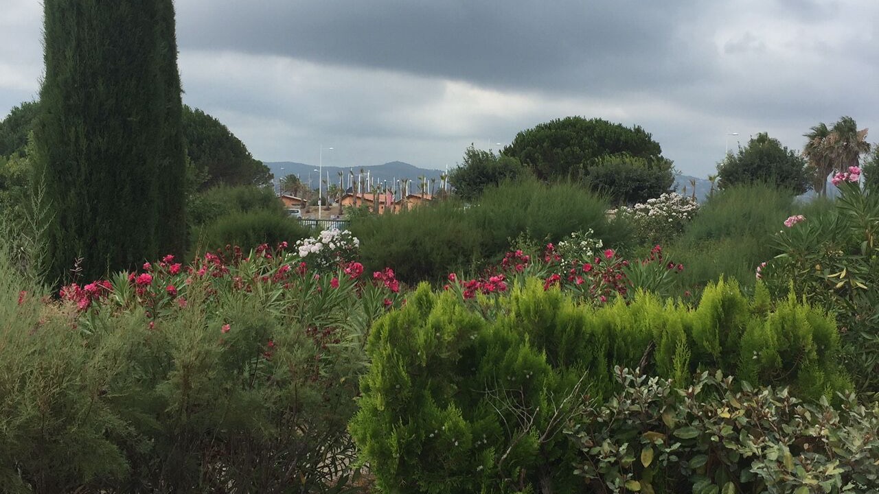 Photo of Outdoor in Port Cogolin