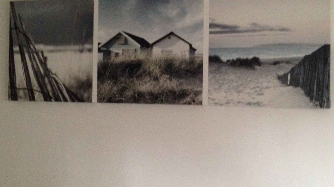Photo of Others in Dolus-d'Oleron