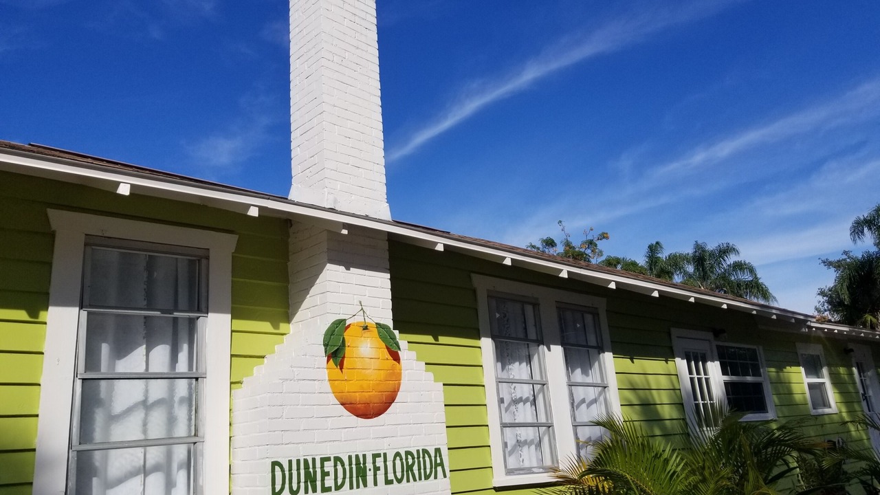 Photo of Outdoor in Downtown Dunedin