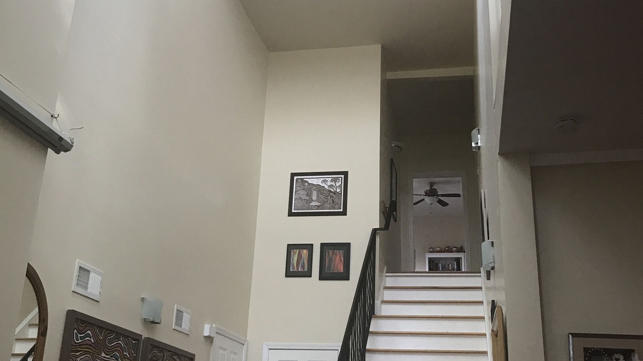 Photo of Others in Orange Lake