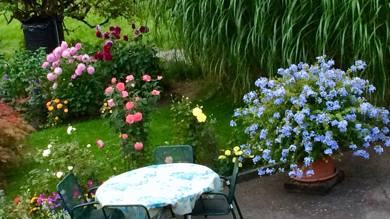 Photo of Outdoor in Faulensee