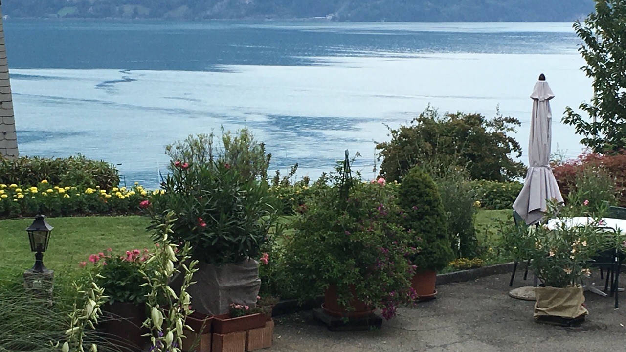 Photo of Outdoor in Faulensee