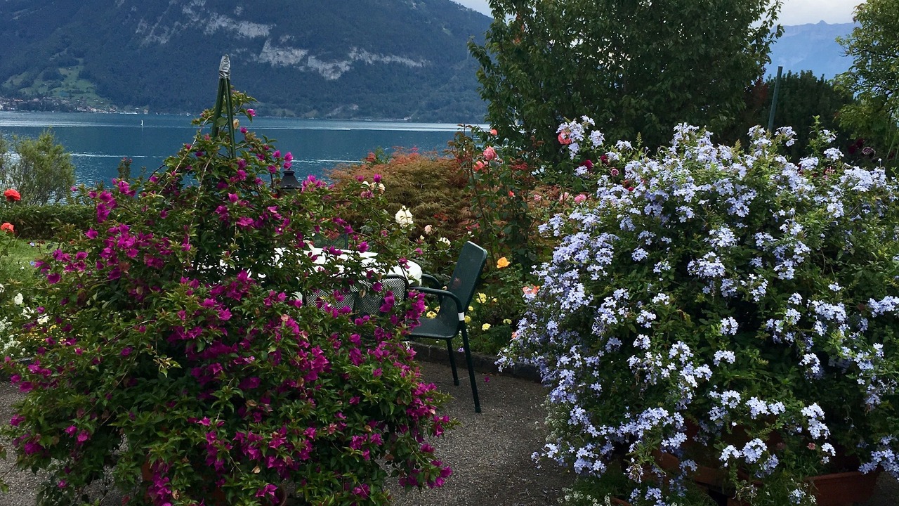 Photo of Outdoor in Faulensee