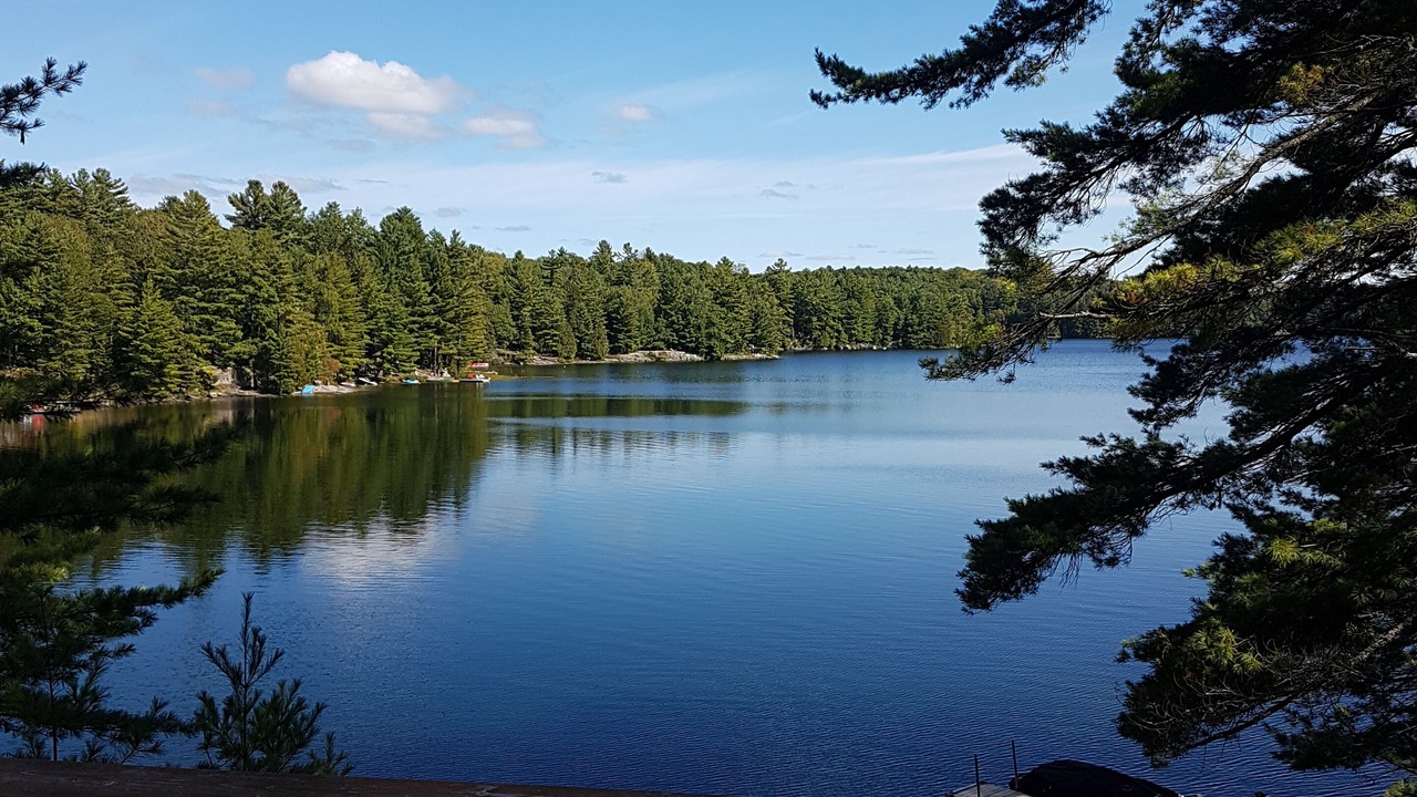 Photo of Outdoor in Algonquin Highlands