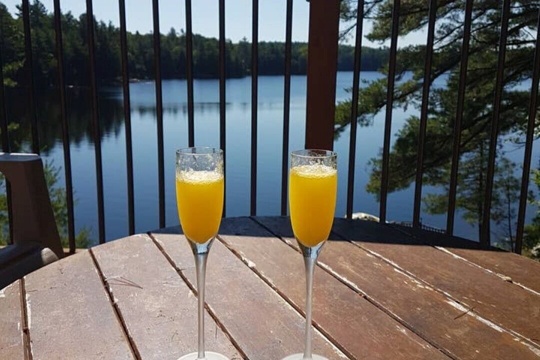 Photo of Outdoor in Algonquin Highlands