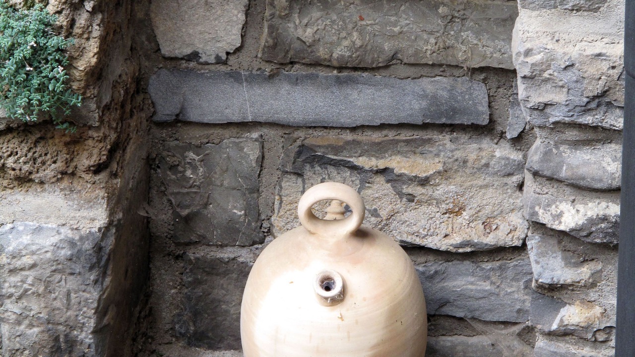 Photo of Outdoor in Biescas