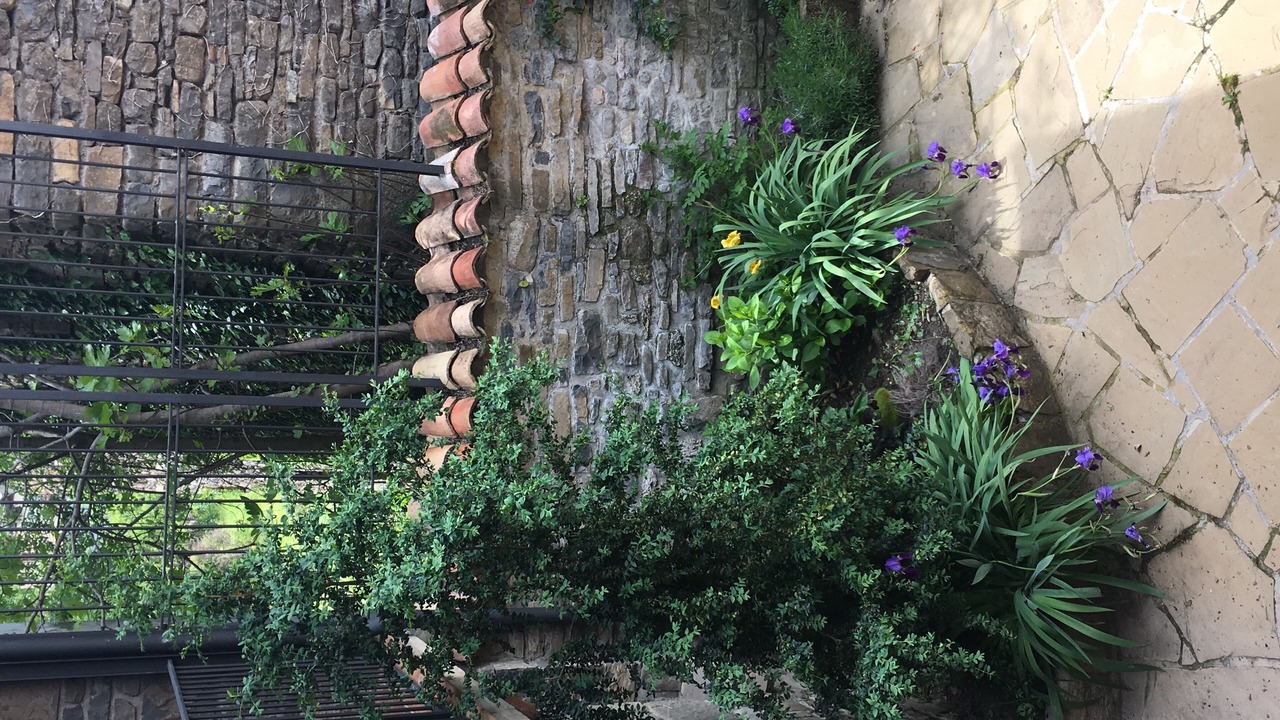 Photo of Outdoor in Biescas