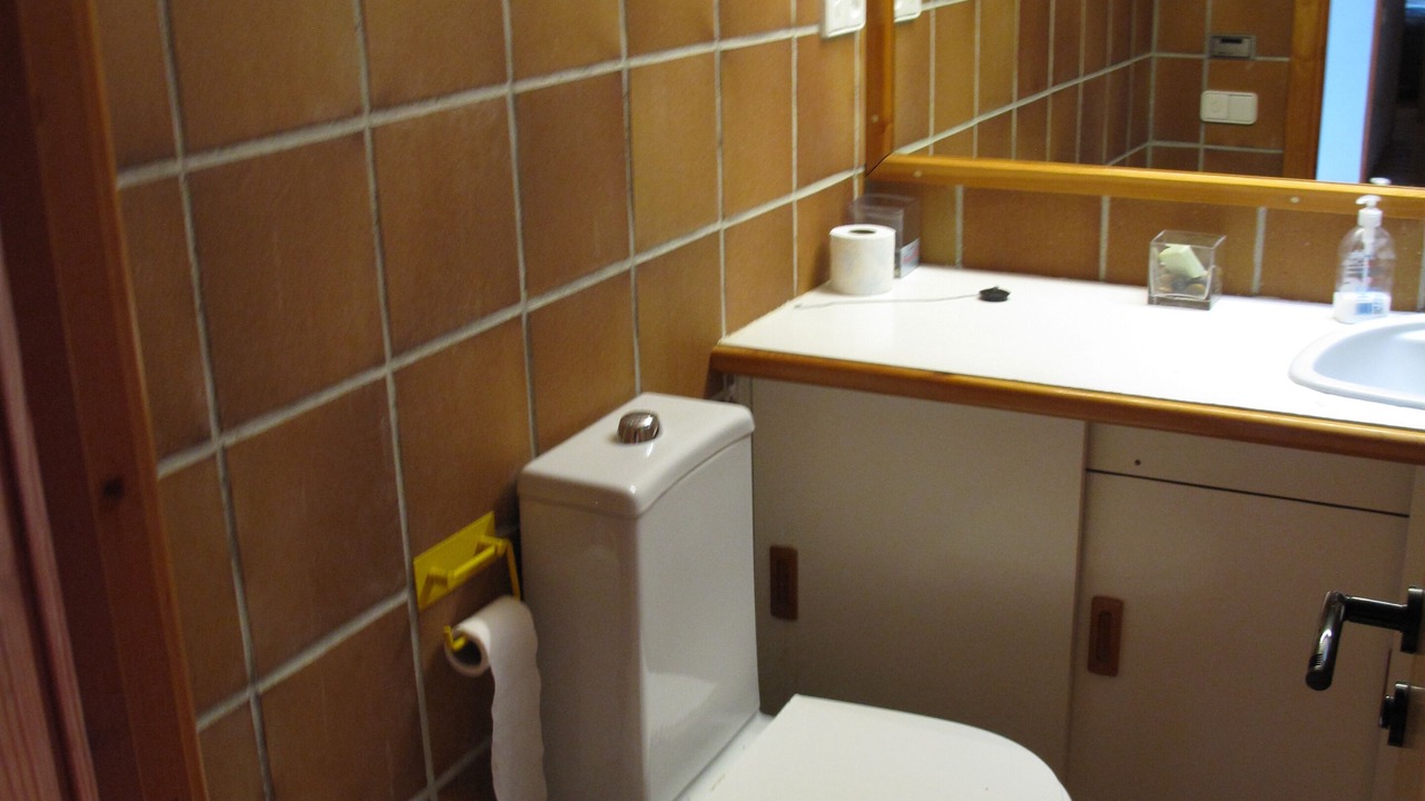 Photo of Bathroom in Biescas