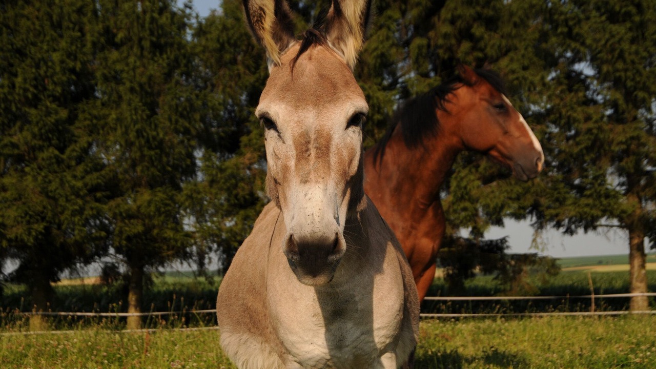 Photo of Outdoor in Banogne-Recouvrance