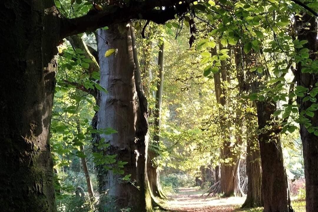 Photo of Bedroom in Penwood