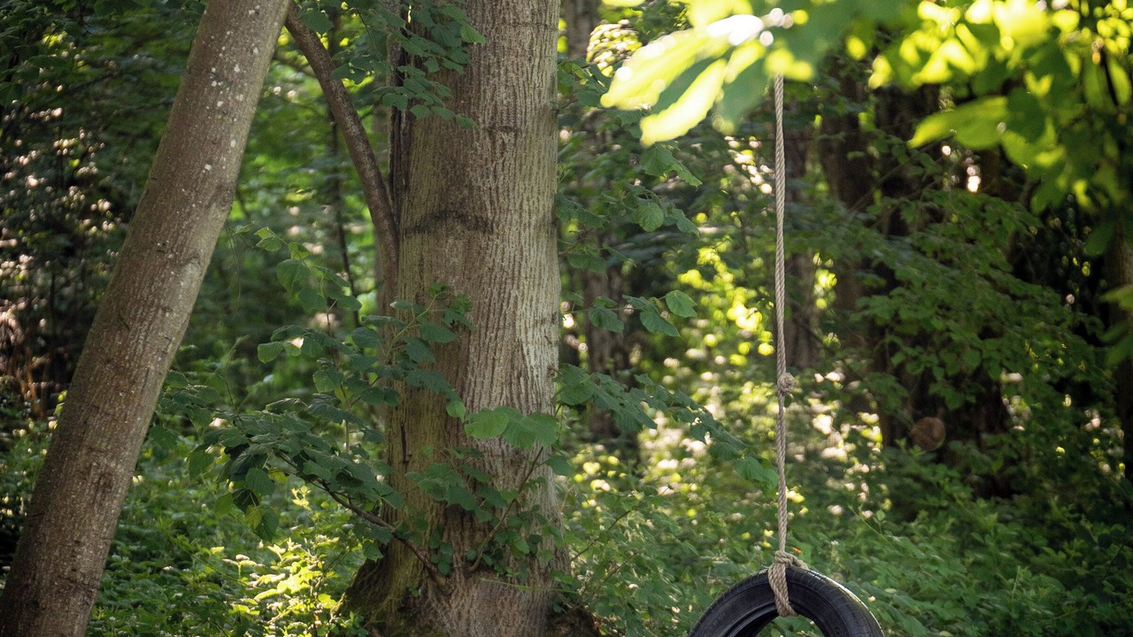 Photo of Outdoor in Penwood